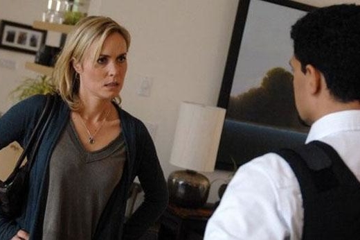 Agenda de series del 2013!