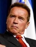 Arnold Schwarzenegger se fija en 'El Vengador Tóxico'