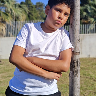 Diegolop