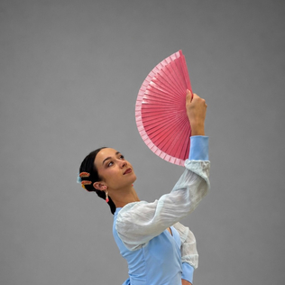 lauraastiz