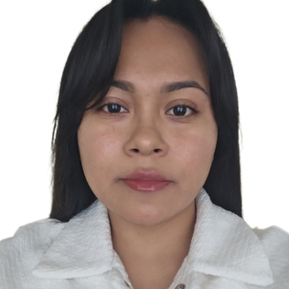 nema98