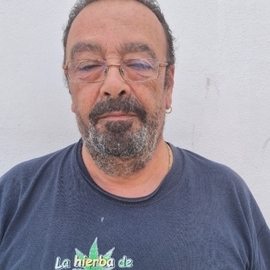 BernardoMR