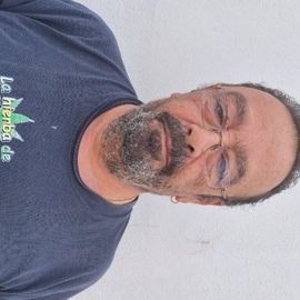 BernardoMR