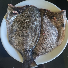 PiliMagdaleno