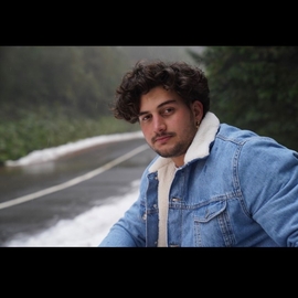 Gomes14