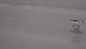 Video test 04/2019