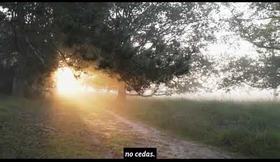 No te rindas, Guillermo Mayer (y no por Mario Benedetti) - Interpretado por Joshuel Rodríguez