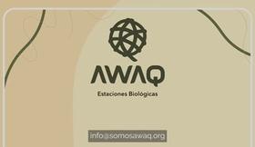 Publicidad   AWAQ