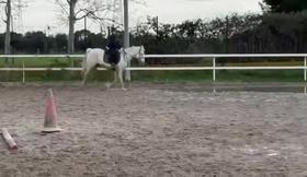 Video Caballo ,Victoria Filippov.