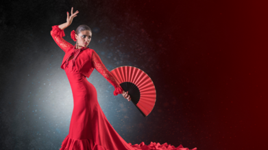 Casting bailarín y bailarina para integrar el cuerpo de baile de un nuevo espectáculo de ballet flamenco