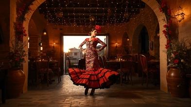 Casting bailaora de flamenco entre 30 y 40 años para proyecto con agencia