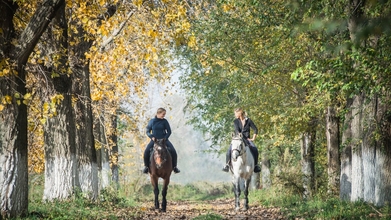 Casting hombres y mujeres que monten a caballo para proyecto en Madrid