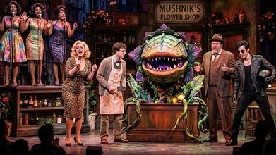 Casting musical horror actores y actrices de 18 a 70 años “Little Shop of Horrors” para teatro musica\