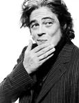 Benicio Del Toro ficha por 'Inherent Vice', Sophia Myles por 'Transformers 4'